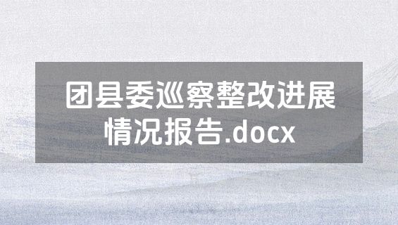 团县委巡察整改进展情况报告.docx