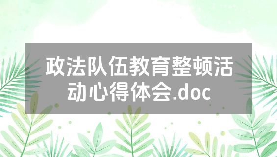 政法队伍教育整顿活动心得体会.doc