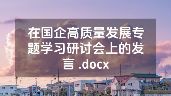 在国企高质量发展专题学习研讨会上的发言 .docx