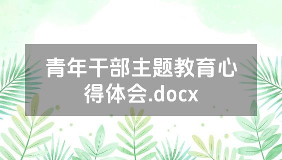 青年干部主题教育心得体会.docx