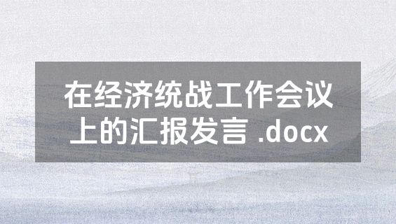 在经济统战工作会议上的汇报发言 .docx
