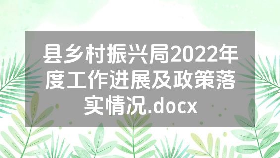 县乡村振兴局2022年度工作进展及政策落实情况.docx