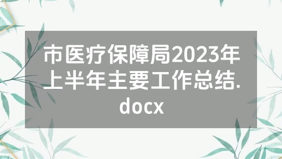 市医疗保障局2023年上半年主要工作总结.docx