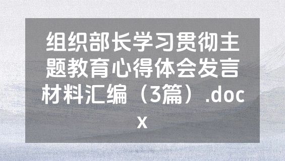 组织部长学习贯彻主题教育心得体会发言材料汇编（3篇）.docx