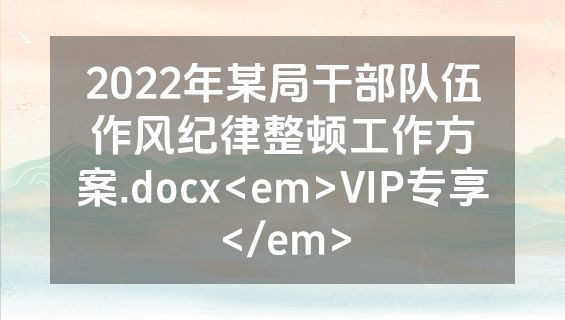 2022年某局干部队伍作风纪律整顿工作方案.docx<em>VIP专享</em>