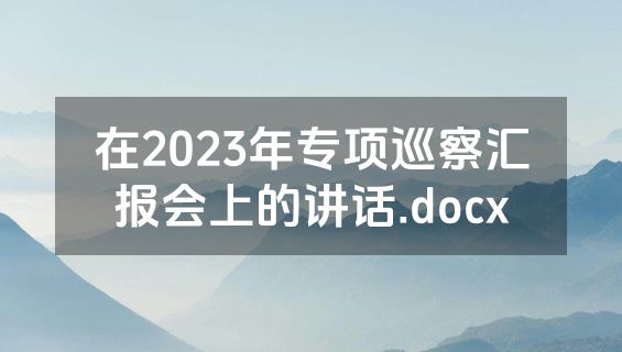在2023年专项巡察汇报会上的讲话.docx