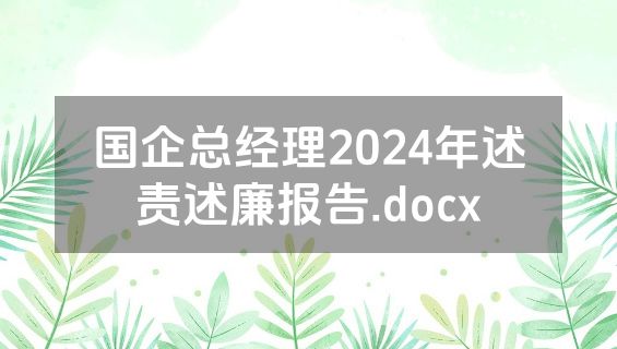 国企总经理2024年述责述廉报告.docx