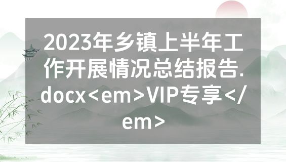 2023年乡镇上半年工作开展情况总结报告.docx<em>VIP专享</em>