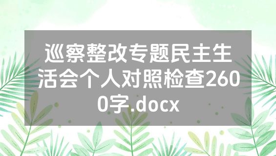 巡察整改专题民主生活会个人对照检查2600字.docx