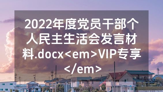 2022年度党员干部个人民主生活会发言材料.docx<em>VIP专享</em>