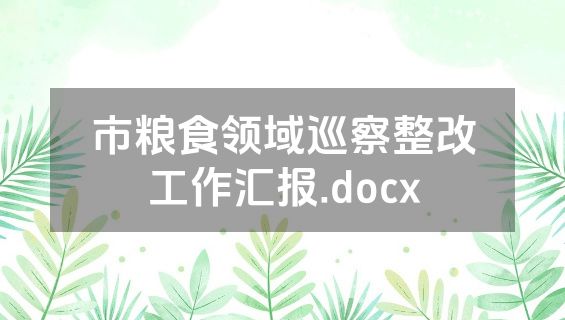 市粮食领域巡察整改工作汇报.docx