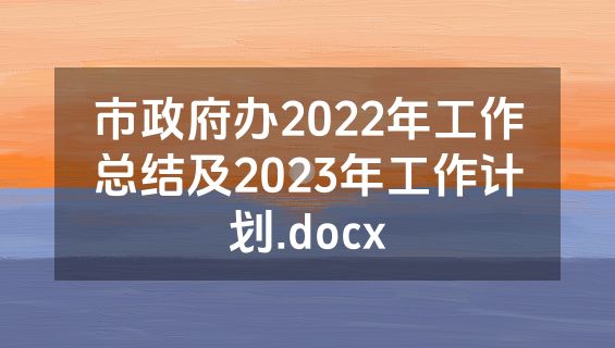 市政府办2022年工作总结及2023年工作计划.docx