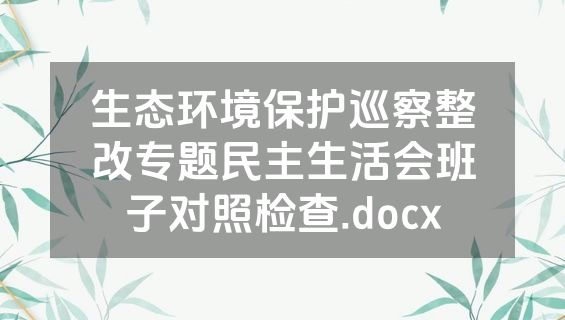 生态环境保护巡察整改专题民主生活会班子对照检查.docx