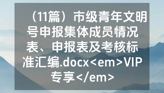 （11篇）市级青年文明号申报集体成员情况表、申报表及考核标准汇编.docx<em>VIP专享</em>