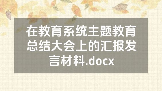 在教育系统主题教育总结大会上的汇报发言材料.docx