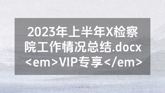 2023年上半年X检察院工作情况总结.docx<em>VIP专享</em>