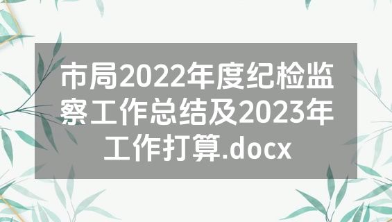 市局2022年度纪检监察工作总结及2023年工作打算.docx