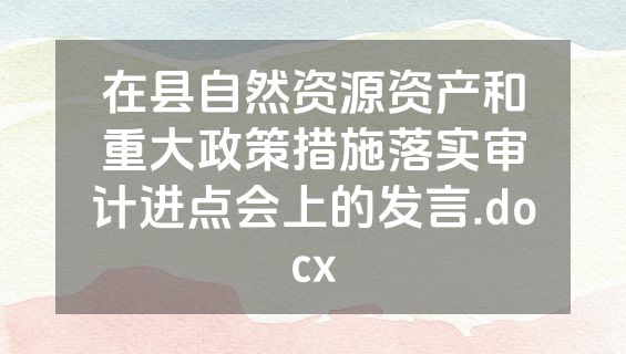 在县自然资源资产和重大政策措施落实审计进点会上的发言.docx
