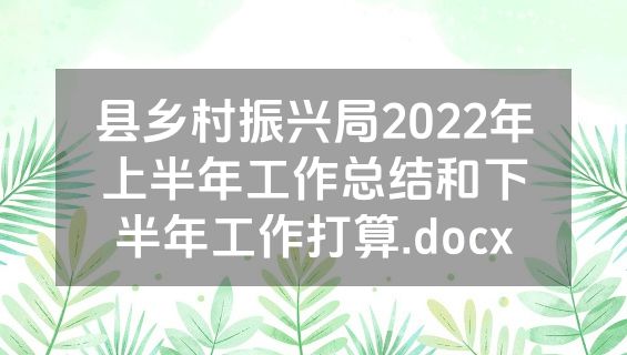 县乡村振兴局2022年上半年工作总结和下半年工作打算.docx