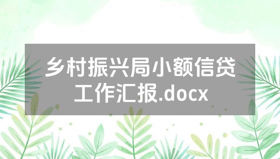乡村振兴局小额信贷工作汇报.docx