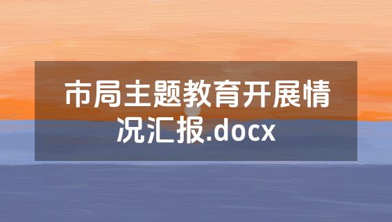 市局主题教育开展情况汇报.docx