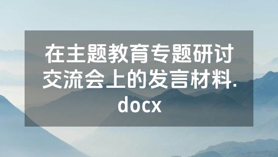 在主题教育专题研讨交流会上的发言材料.docx