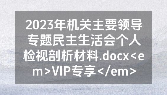 2023年机关主要领导专题民主生活会个人检视剖析材料.docx<em>VIP专享</em>