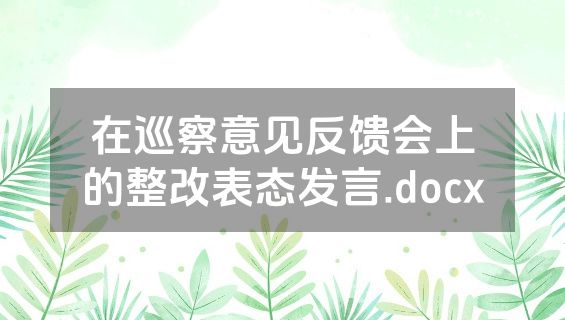 在巡察意见反馈会上的整改表态发言.docx