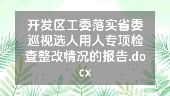开发区工委落实省委巡视选人用人专项检查整改情况的报告.docx