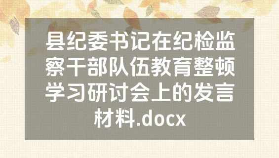 县纪委书记在纪检监察干部队伍教育整顿学习研讨会上的发言材料.docx