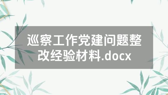 巡察工作党建问题整改经验材料.docx