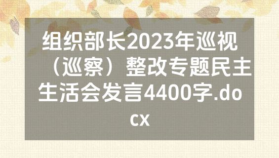 组织部长2023年巡视（巡察）整改专题民主生活会发言4400字.docx