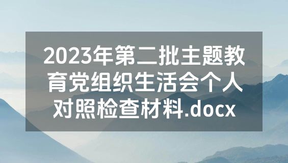 2023年第二批主题教育党组织生活会个人对照检查材料.docx