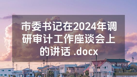 市委书记在2024年调研审计工作座谈会上的讲话 .docx