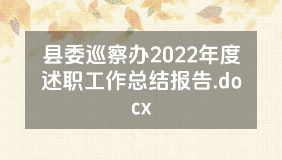 县委巡察办2022年度述职工作总结报告.docx