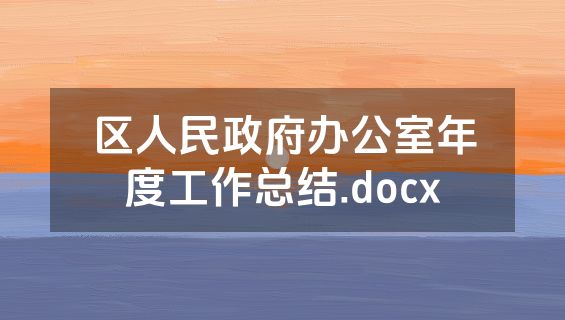 区人民政府办公室年度工作总结.docx