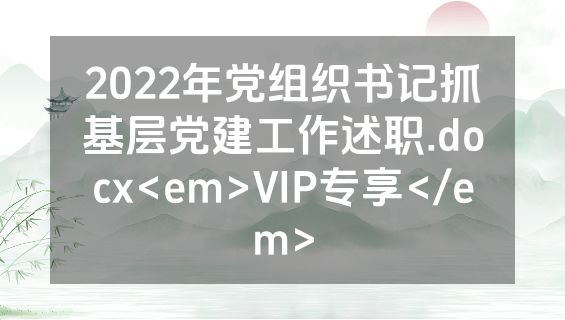 2022年党组织书记抓基层党建工作述职.docx<em>VIP专享</em>