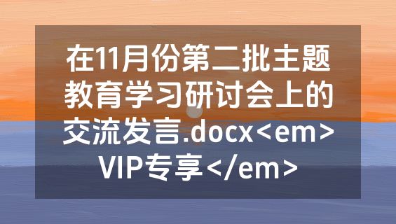 在11月份第二批主题教育学习研讨会上的交流发言.docx<em>VIP专享</em>