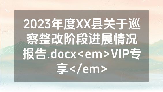 2023年度XX县关于巡察整改阶段进展情况报告.docx<em>VIP专享</em>