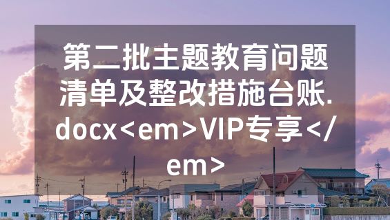 第二批主题教育问题清单及整改措施台账.docx<em>VIP专享</em>