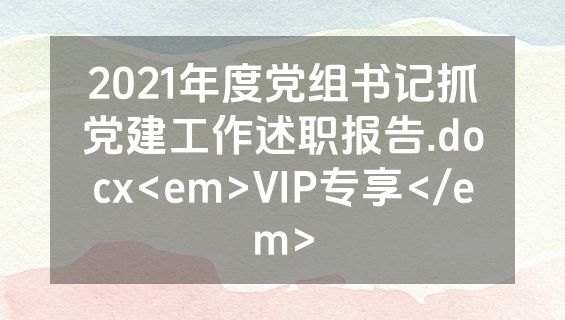 2021年度党组书记抓党建工作述职报告.docx<em>VIP专享</em>