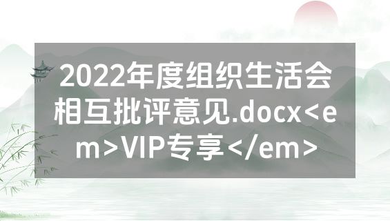 2022年度组织生活会相互批评意见.docx<em>VIP专享</em>