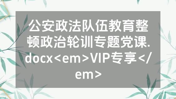 公安政法队伍教育整顿政治轮训专题党课.docx<em>VIP专享</em>