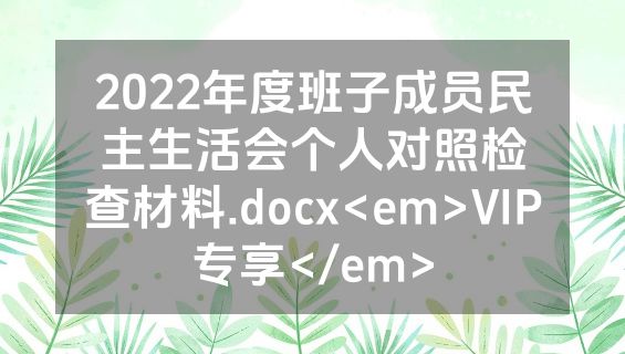 2022年度班子成员民主生活会个人对照检查材料.docx<em>VIP专享</em>
