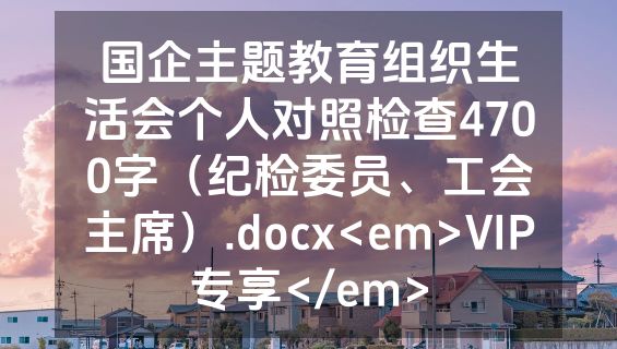 国企主题教育组织生活会个人对照检查4700字（纪检委员、工会主席）.docx<em>VIP专享</em>