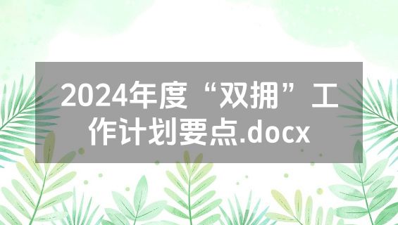2024年度“双拥”工作计划要点.docx