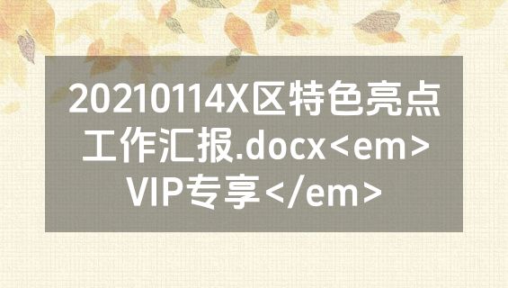 20210114X区特色亮点工作汇报.docx<em>VIP专享</em>