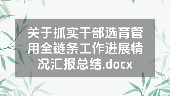 关于抓实干部选育管用全链条工作进展情况汇报总结.docx