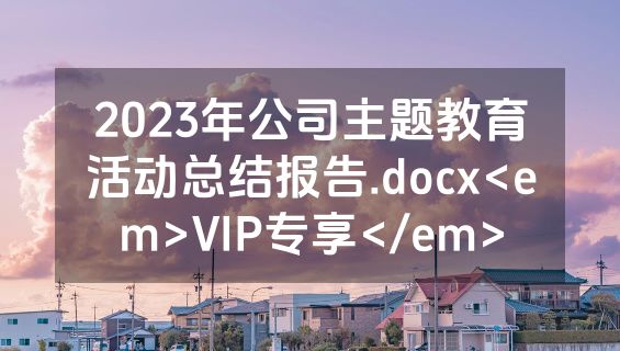2023年公司主题教育活动总结报告.docx<em>VIP专享</em>