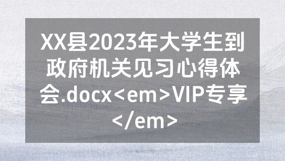 XX县2023年大学生到政府机关见习心得体会.docx<em>VIP专享</em>